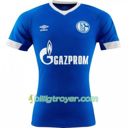 Billige Fotballdrakter FC Schalke 04 Hjemmedraktsett 2018/19 Kortermet